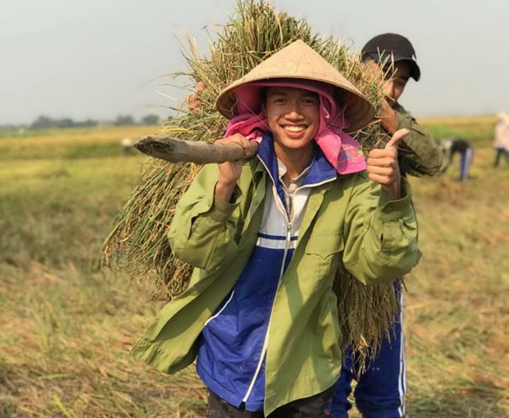 Cả lớp ra đồng gặt lúa giúp bạn, phụ huynh cũng góp tay - Ảnh 1.