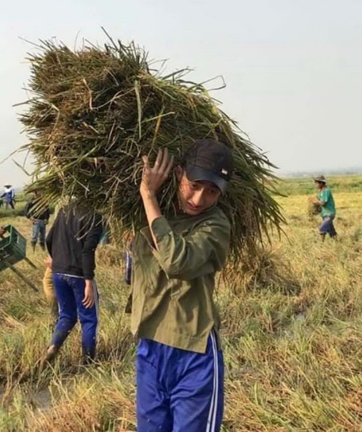 Cả lớp ra đồng gặt lúa giúp bạn, phụ huynh cũng góp tay - Ảnh 8.