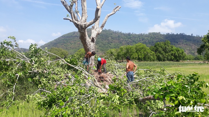 Gần 2 tháng rưỡi chưa giải quyết xong vụ tai nạn lao động làm 3 người chết ở An Giang - Ảnh 4.