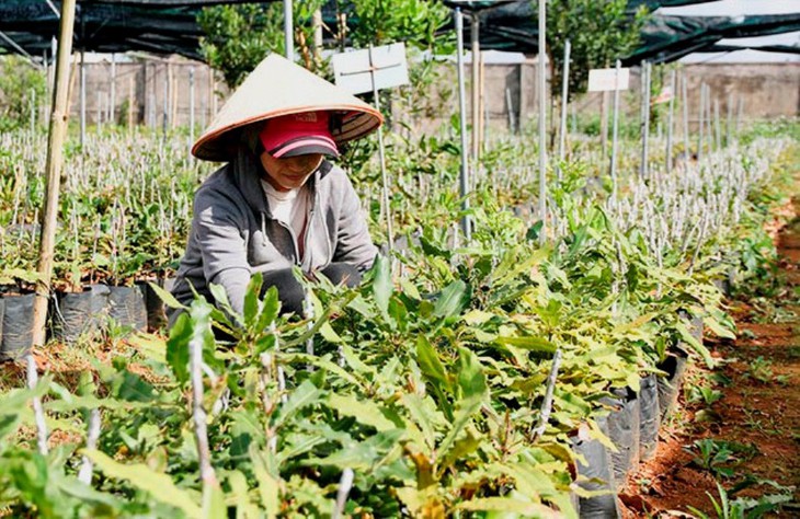 Trưởng phòng tài nguyên bị kỷ luật vì sai phạm trong quản lý đất đai - Ảnh 1.