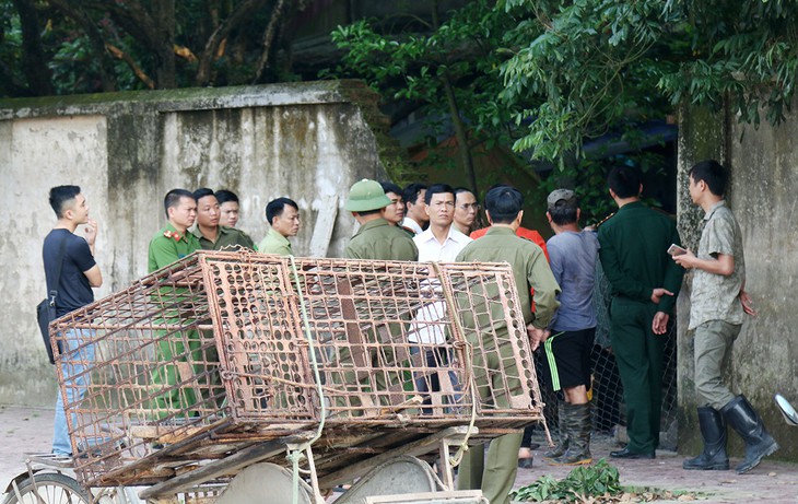 Chủ đàn chó cắn chết bé trai có thể ở tù - Ảnh 1.