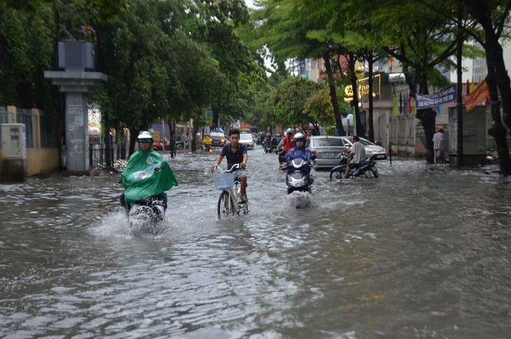 TP.HCM mưa lớn, có nơi ngập nửa bánh xe, khu biệt thự cao cấp như... miền Tây - Ảnh 4.