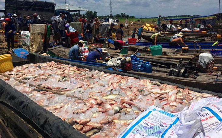 Bộ Tài nguyên - môi trường yêu cầu rà soát các nguồn thải trên sông La Ngà