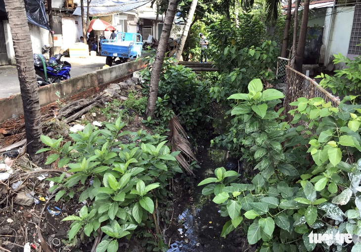 Sân bay Tân Sơn Nhất khó thoát ngập do cống thoát nước thấp hơn bên ngoài - Ảnh 4.