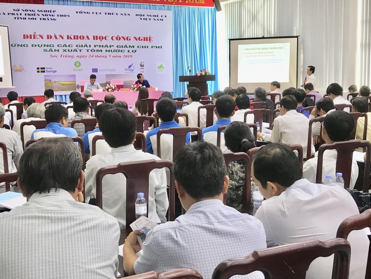 Tôm Việt giá cao lại xài nhiều thuốc, bơm tạp chất