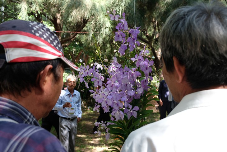 Lan khoe sắc quý phái ở Nha Trang - Ảnh 9.