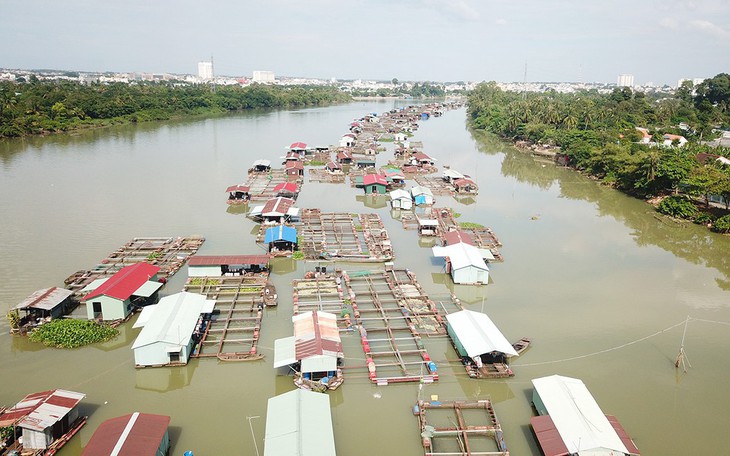 Nuôi cá không quy hoạch như 