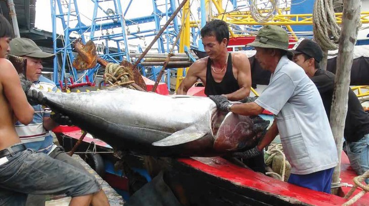 Lo lắng với hạn ngạch khai thác xa bờ - Ảnh 1.