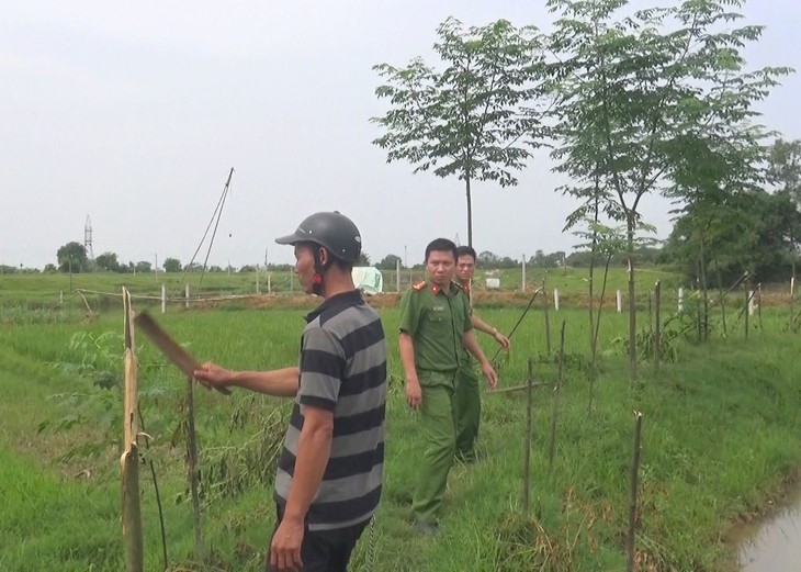 Tạm giữ nghi phạm chặt phá 141 cây gỗ xoan, xà cừ để trả thù cá nhân - Ảnh 1.