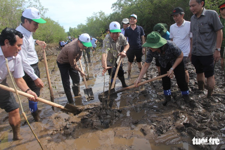 Trồng 2.000 cây mắm ven biển chống sạt lở - Ảnh 1.