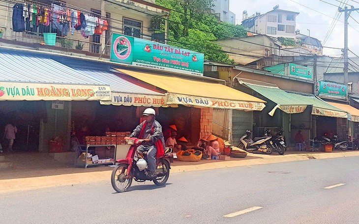 Đà Lạt mạnh tay trị 