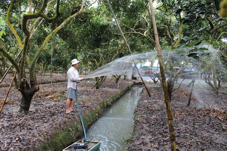 Bất ngờ lá, vỏ, hạt chôm chôm Việt thành mỹ phẩm cao cấp nhất thế giới - Ảnh 2.