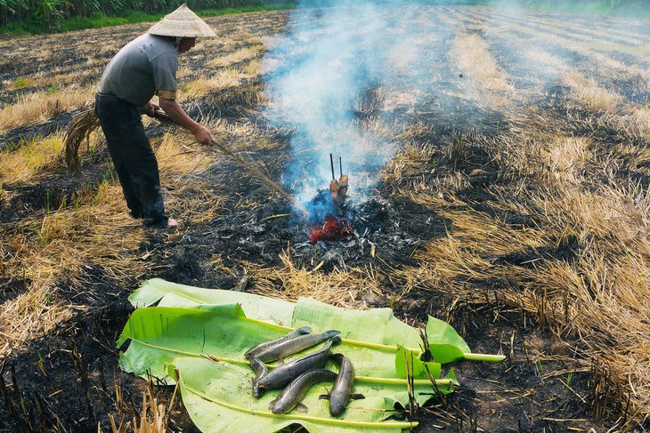 Lấy vợ, sẽ lấy ai làm món cá lóc nướng trui ngon như mẹ nấu - Ảnh 1.