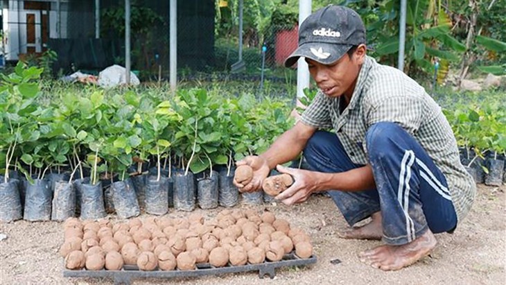 Chuyện những người gieo hạt - Ảnh 2.