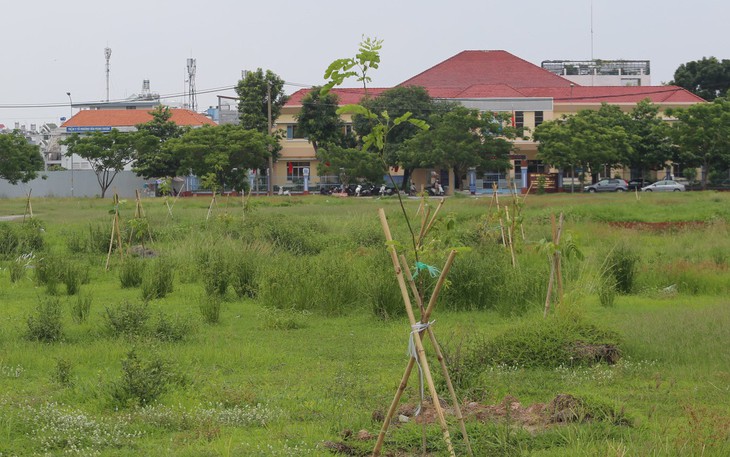 Các lô đất nào bị 