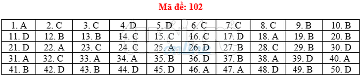 Bài giải gợi ý môn toán thi THPT quốc gia 2019 - đủ 24 mã đề - Ảnh 3.