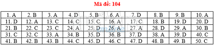 Bài giải gợi ý môn toán thi THPT quốc gia 2019 - đủ 24 mã đề - Ảnh 5.