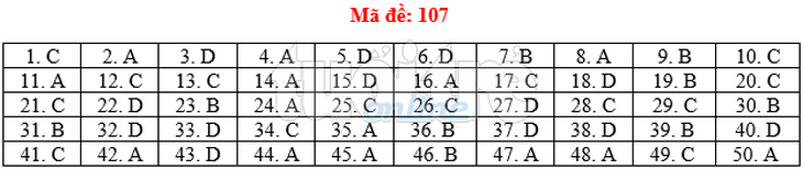 Bài giải gợi ý môn toán thi THPT quốc gia 2019 - đủ 24 mã đề - Ảnh 8.