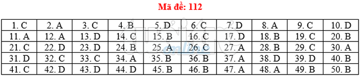 Bài giải gợi ý môn toán thi THPT quốc gia 2019 - đủ 24 mã đề - Ảnh 13.