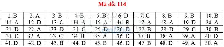 Bài giải gợi ý môn toán thi THPT quốc gia 2019 - đủ 24 mã đề - Ảnh 15.