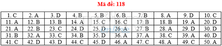 Bài giải gợi ý môn toán thi THPT quốc gia 2019 - đủ 24 mã đề - Ảnh 19.