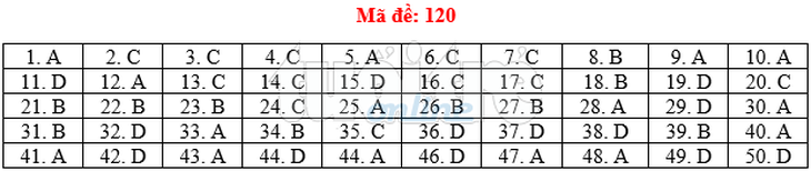 Bài giải gợi ý môn toán thi THPT quốc gia 2019 - đủ 24 mã đề - Ảnh 21.