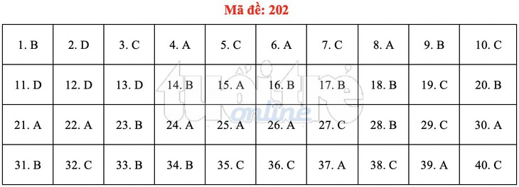 Bài giải gợi ý môn vật lý THPT quốc gia 2019 - Ảnh 2.