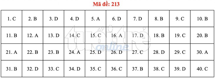 Bài giải gợi ý môn vật lý THPT quốc gia 2019 - Ảnh 4.