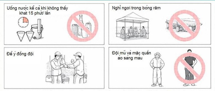 3 người hôn mê vì làm việc nhiều giờ trong nắng nóng - Ảnh 1.