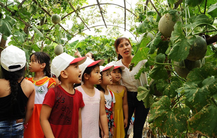 Thầy cô, cha mẹ cuốc đất trồng rau, khoai lang, bí đỏ... đủ cho cả trường - Ảnh 1.