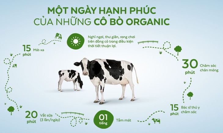 Ngạc nhiên nơi bò được chăm sóc bằng vườn thuốc nam - Ảnh 4.