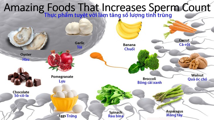 Chế độ dinh dưỡng có thể giúp tăng cường khả năng sinh sản ở nam giới - Ảnh 1.