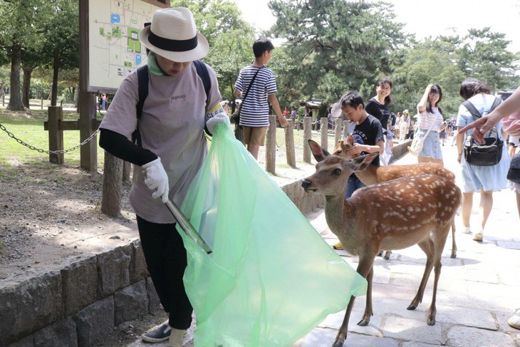 Dân Nhật sốc vì Nai Nara chết do nuốt quá nhiều bọc nhựa  - Ảnh 1.