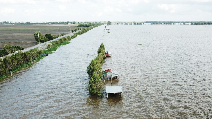 Sản xuất thuận thiên: Thành bại tại đê bao - Ảnh 1.