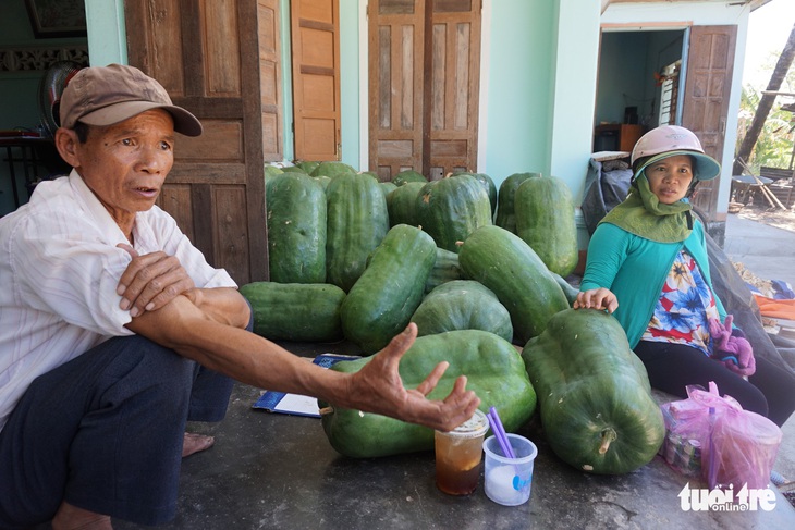 Mỗi trái bí khổng lồ nặng... 50 kí, mỗi ngày bí lớn thêm.. 1 kí - Ảnh 1.