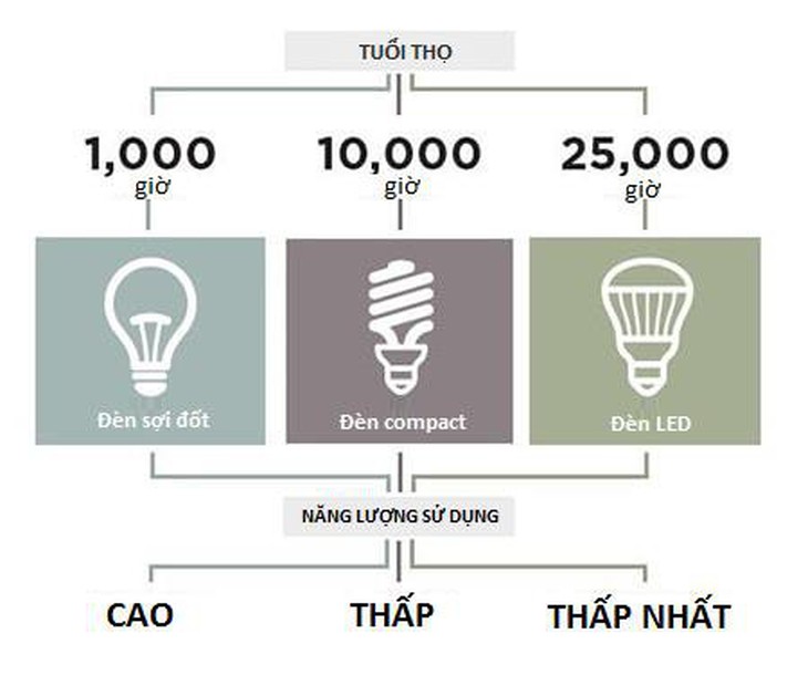 Xanh hóa ngôi nhà để sống khỏe mạnh hơn - Ảnh 2.