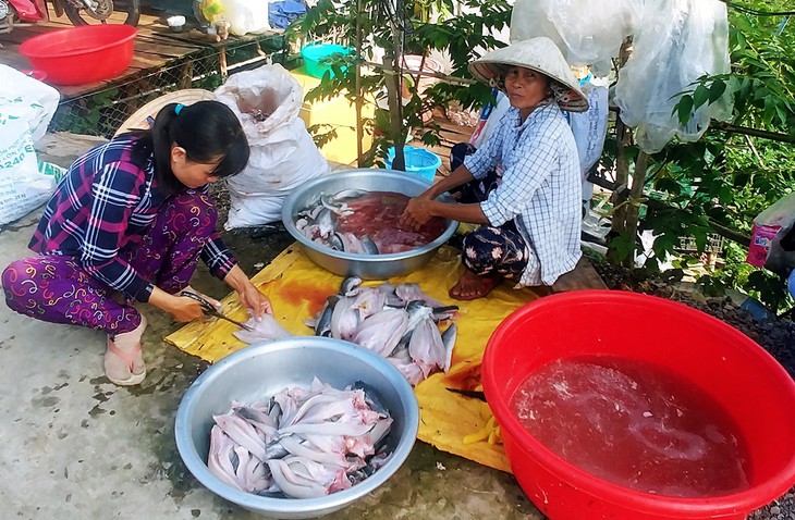 Cá lóc phơi khô trên đường về Hồng Ngự  - Ảnh 3.