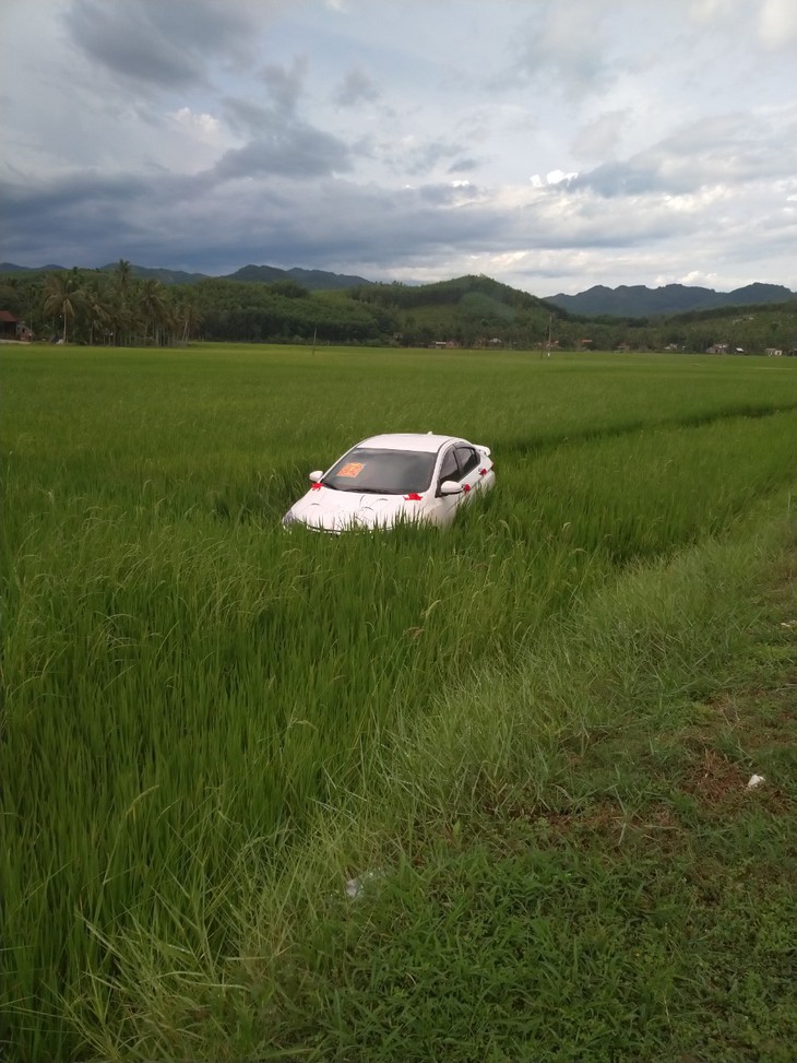 Trên đường ăn cưới về, tài xế ngủ gục đậu luôn ôtô... dưới ruộng - Ảnh 1.