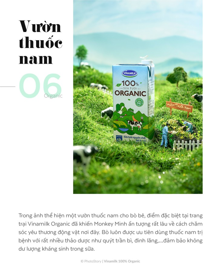 Chuyện chưa kể của bộ ảnh sữa tươi Organic - Ảnh 7. Chuyện chưa kể của bộ ảnh sữa tươi Organic - Ảnh 7.