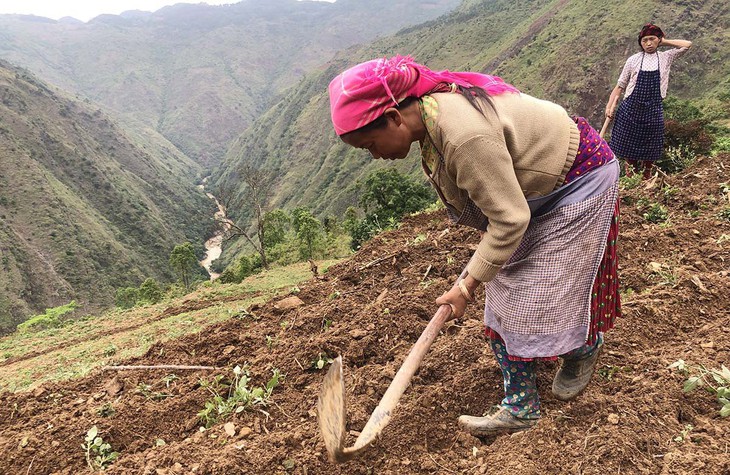 ha giang