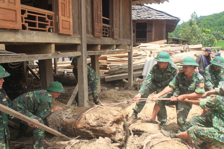 Gỗ khủng từ đâu trôi về sau lũ? - Ảnh 2.