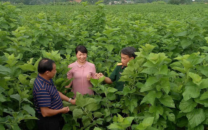 Nữ bí thư đi cuốc đất với dân - Ảnh 2.