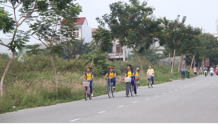 Đà Nẵng ghép thửa hàng ngàn lô đất để làm công viên - Ảnh 1.