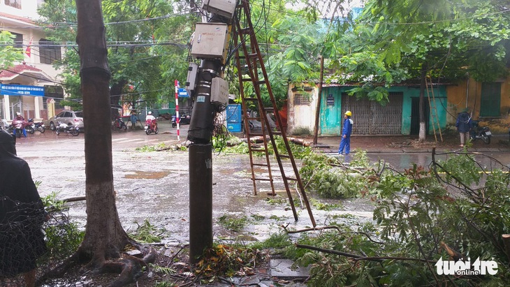 Bão số 3 qua Móng Cái, Hải Phòng, gió giật hàng loạt cây xanh ngã rạp - Ảnh 9.