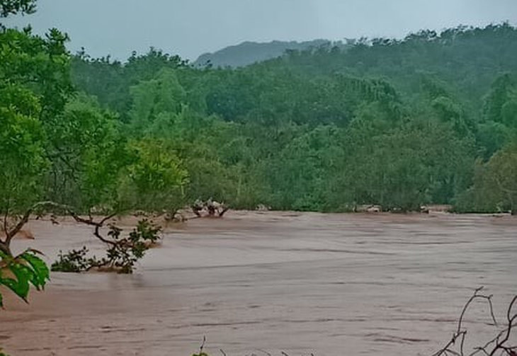 Cứu người mắc kẹt trên cây nhiều giờ trong lũ dữ - Ảnh 1.