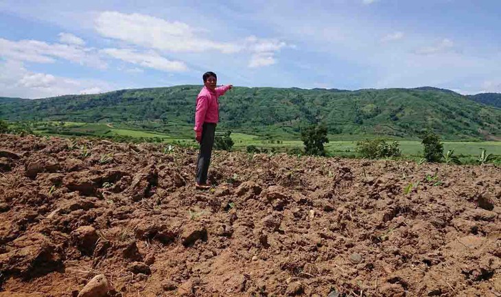 10 năm không giải phóng mặt bằng, dự án chăn nuôi nợ hơn 80 tỉ - Ảnh 1.