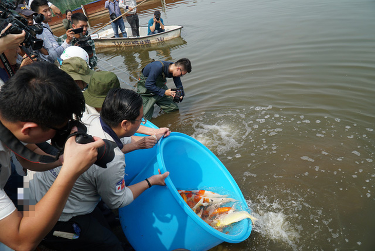 Thả cá Koi Nhật Bản xuống sông Tô Lịch - Ảnh 8.