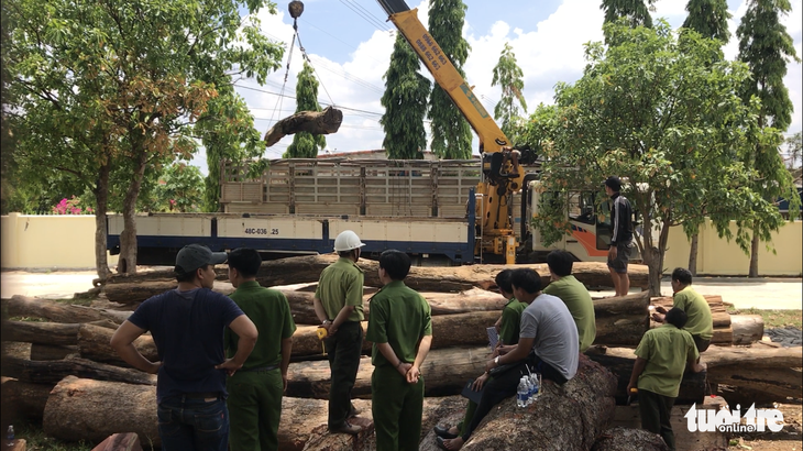 Vụ buôn gỗ của Phượng ‘râu’: cán bộ nhận tiền trong sáng - Ảnh 2.