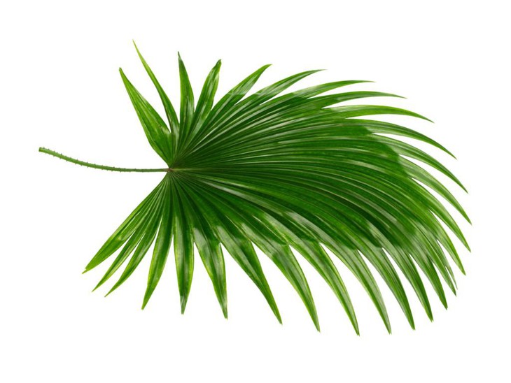 Phì đại lành tính tuyến tiền liệt, đừng coi thường - Ảnh 3. Phì đại lành tính tuyến tiền liệt, đừng coi thường - Ảnh 3.