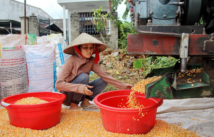 Gạt nước mắt vào trường đại học - Ảnh 1.